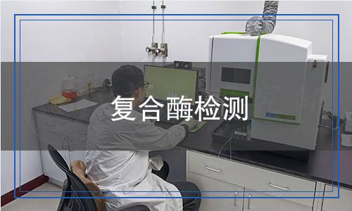 復(fù)合酶檢測(cè)