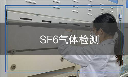 SF6六氟化硫氣體檢測