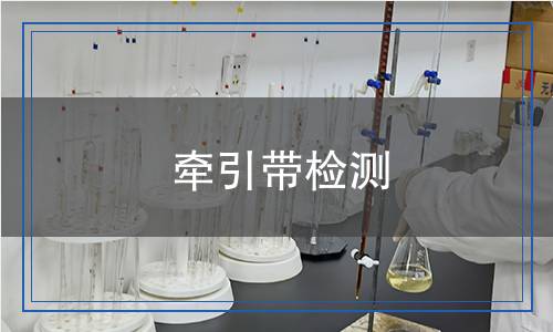 牽引帶檢測(cè) 牽引帶檢測(cè)