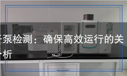 轉(zhuǎn)子泵檢測：確保高效運行的關鍵分析