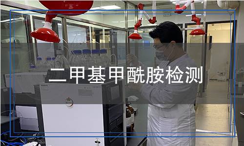 二甲基甲酰胺檢測