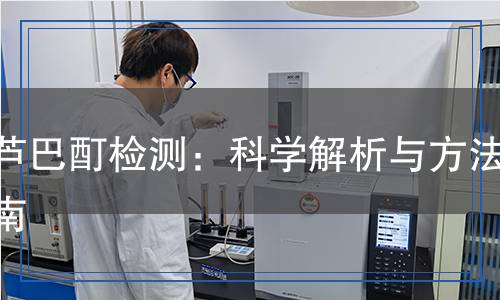 葫蘆巴酊檢測(cè)：科學(xué)解析與方法指南