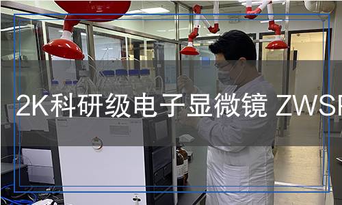 2K科研級電子顯微鏡ZWSP-4KCH