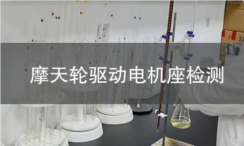 摩天輪驅(qū)動電機(jī)座檢測 摩天輪驅(qū)動電機(jī)座檢測