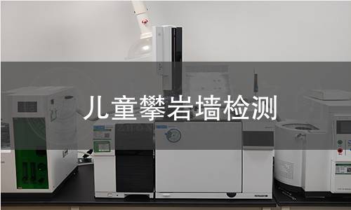 兒童攀巖墻檢測 兒童攀巖墻檢測