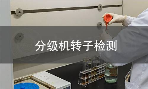 分級機(jī)轉(zhuǎn)子檢測