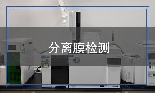 分離膜檢測(cè) 