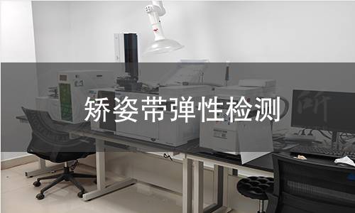 矯姿帶彈性檢測(cè)