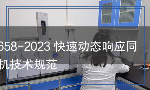 DL/T 2658-2023 快速動(dòng)態(tài)響應(yīng)同步調(diào)相機(jī)技術(shù)規(guī)范