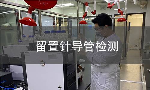 留置針導(dǎo)管檢測