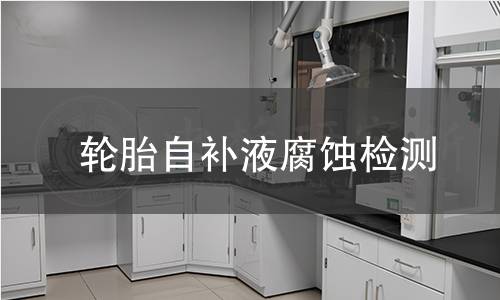 輪胎自補(bǔ)液腐蝕檢測(cè)